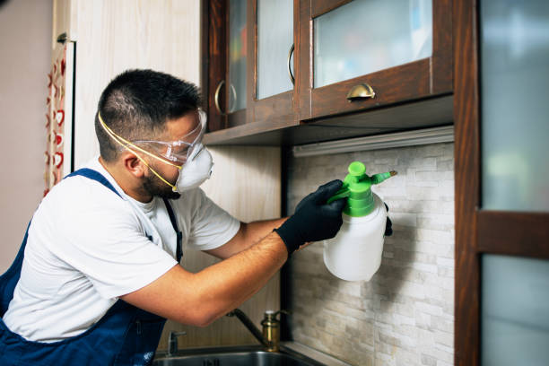 Best Affordable Pest Control Services  in St Martin, MS