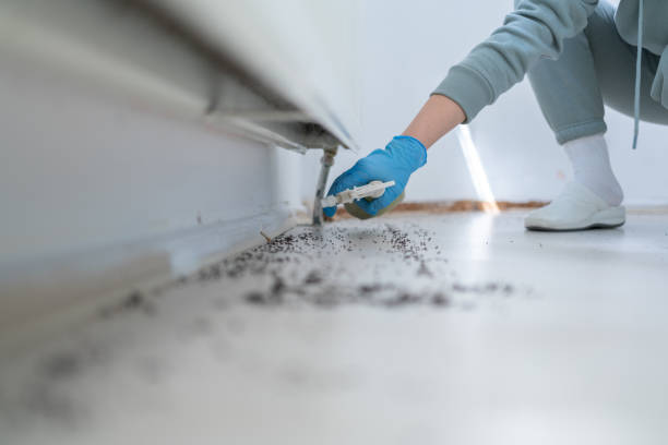 Best Cockroach Control Services  in St Martin, MS