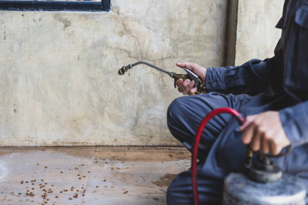 Best Exterminator Services  in St Martin, MS